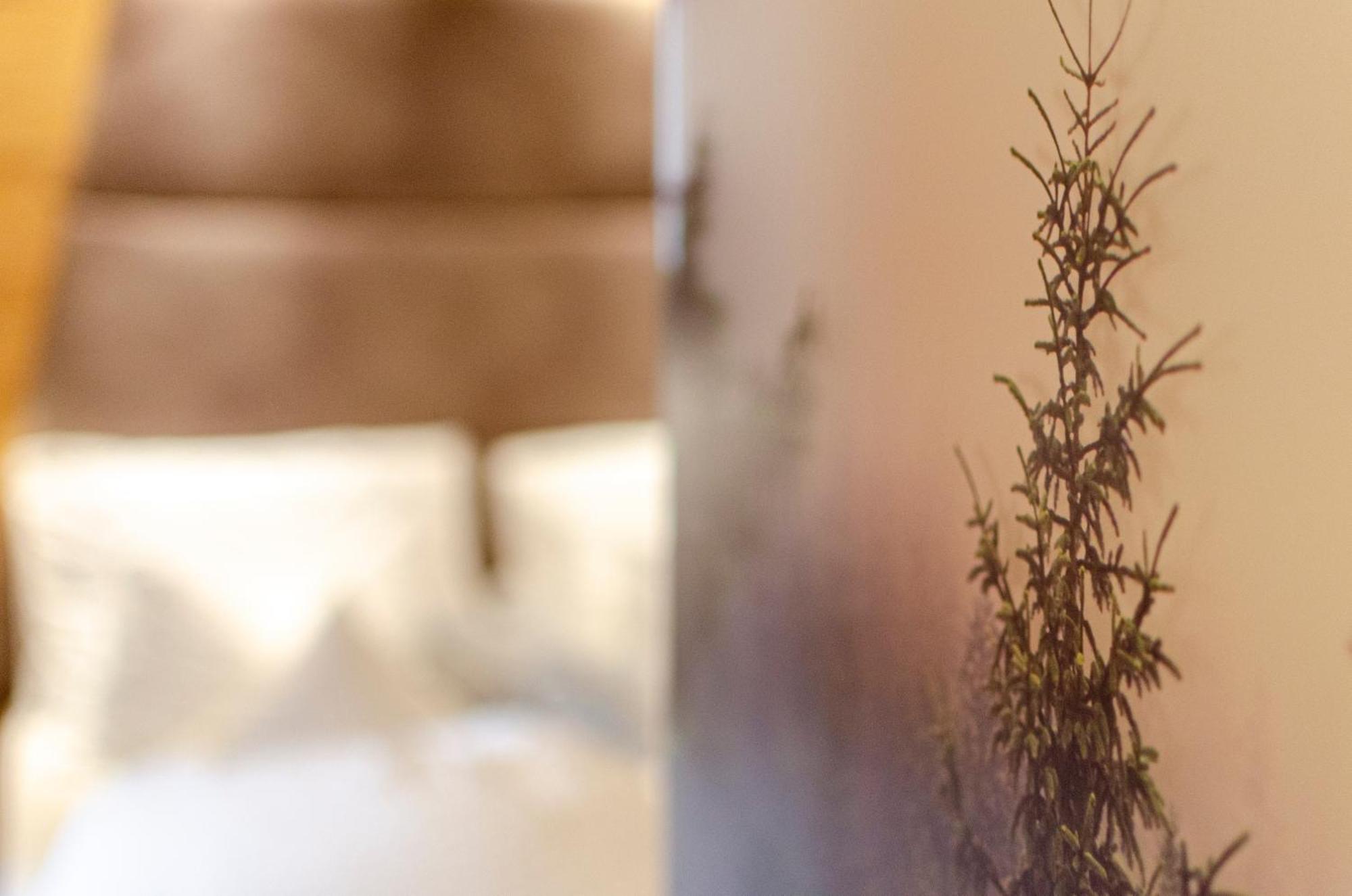 Hotel Faloria Moena Εξωτερικό φωτογραφία